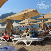 фото из отзыва ID 796883