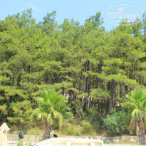 фото из отзыва ID 796883