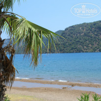 фото из отзыва ID 796883