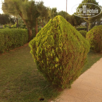 фото из отзыва ID 797740