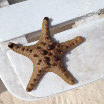 фото из отзыва ID 798150
