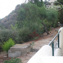 фото из отзыва ID 804180