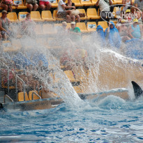 фото из отзыва ID 809054