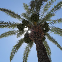 фото из отзыва ID 809850