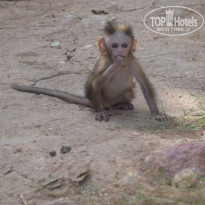 фото из отзыва ID 820201