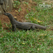 фото из отзыва ID 820201