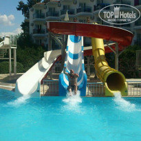 фото из отзыва ID 824374