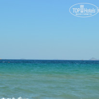 фото из отзыва ID 826880