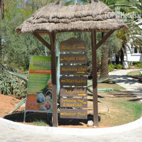 фото из отзыва ID 828074