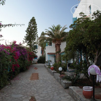 фото из отзыва ID 836684