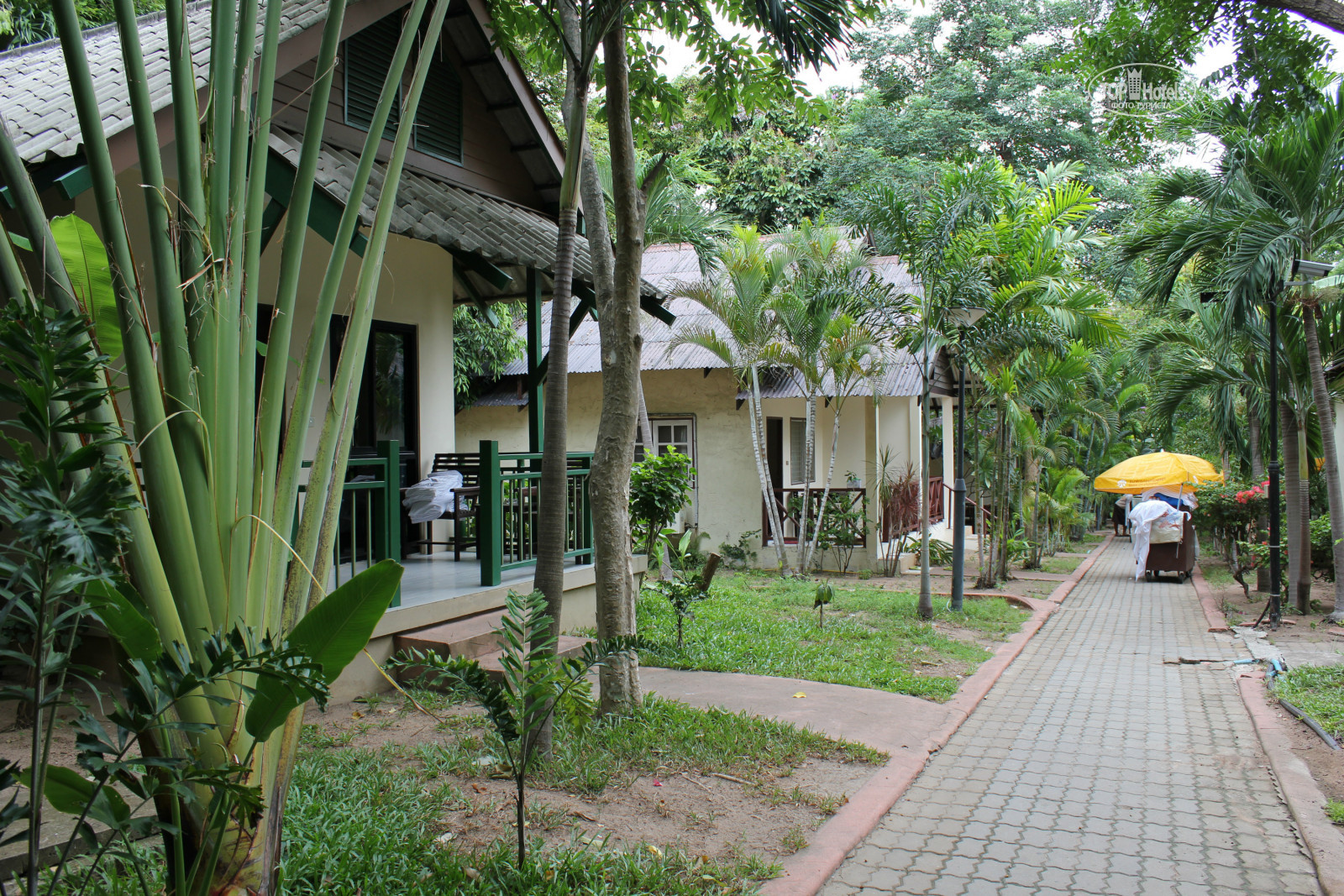 Pattaya garden. Паттайя Гарден 3. The Pattaya Garden Hotel отзывы.