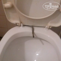 фото из отзыва ID 842514