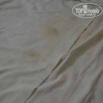 фото из отзыва ID 856318