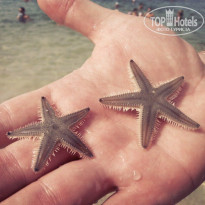 фото из отзыва ID 859687