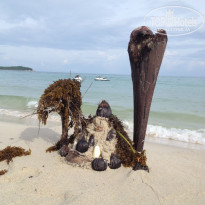 фото из отзыва ID 861984