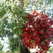 фото из отзыва ID 865403