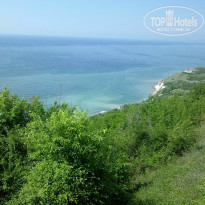 фото из отзыва ID 866219