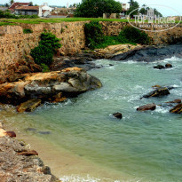 фото из отзыва ID 867753