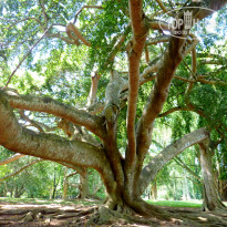 фото из отзыва ID 867753