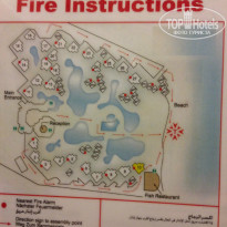 фото из отзыва ID 869187