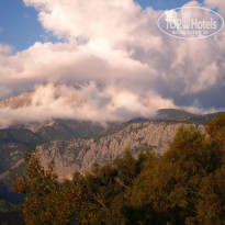 фото из отзыва ID 869591