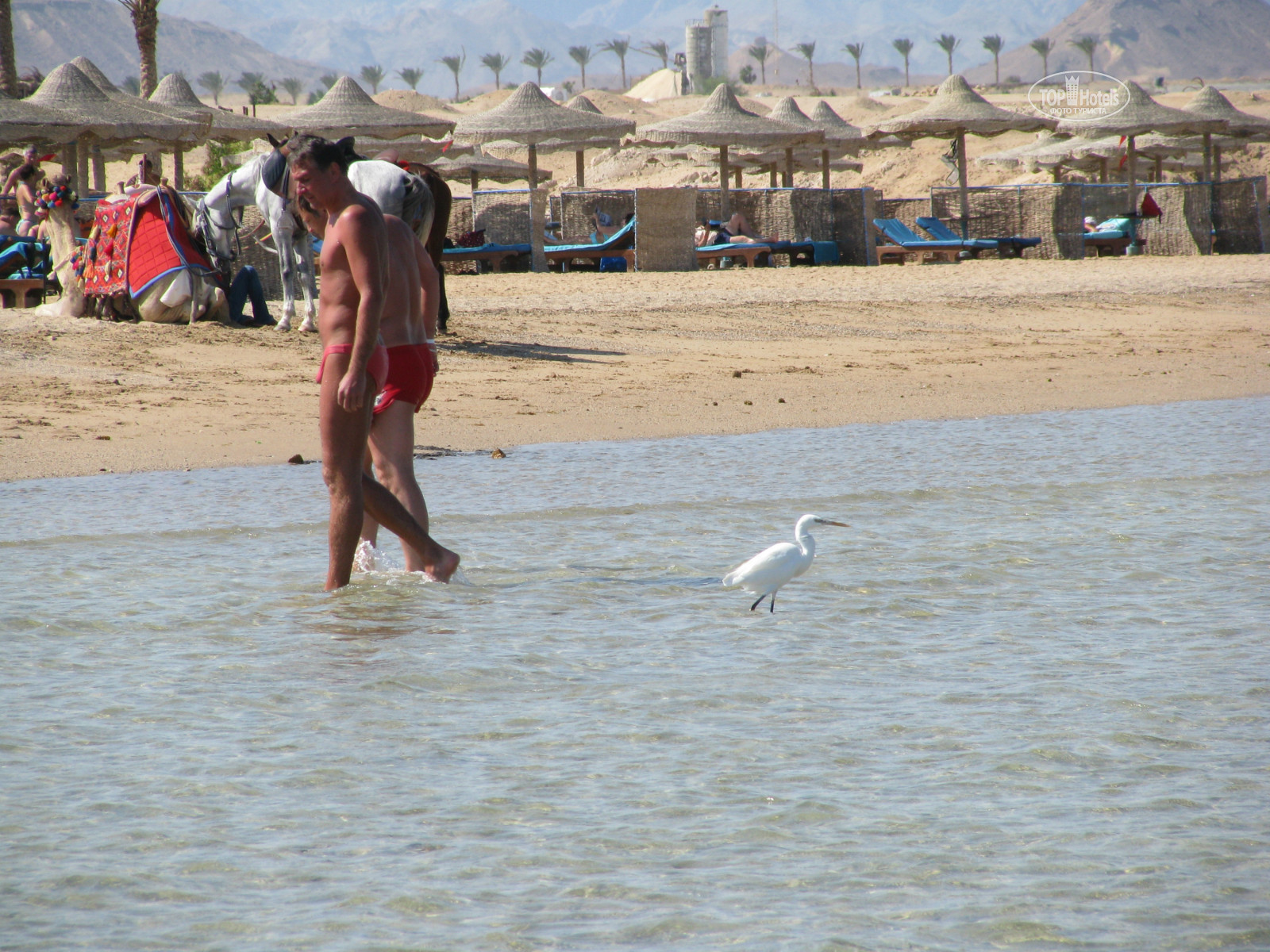 Aurora oriental Resort Marsa Alam