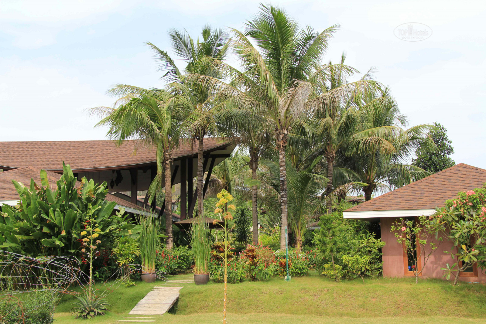 Coconut village 5