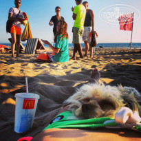 фото из отзыва ID 878686