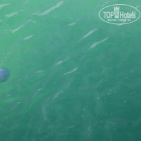 фото из отзыва ID 879187