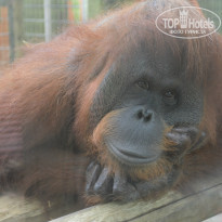 фото из отзыва ID 879187