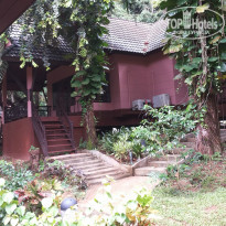 фото из отзыва ID 879925