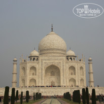 фото из отзыва ID 880004