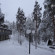 Lapland Hotel Bears Lodge