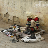 фото из отзыва ID 880004