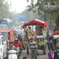 фото из отзыва ID 880004