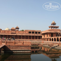 фото из отзыва ID 880004