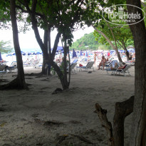 фото из отзыва ID 881759