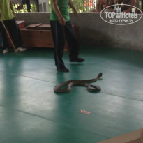 фото из отзыва ID 888838