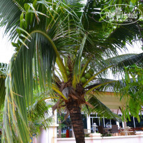 фото из отзыва ID 892496