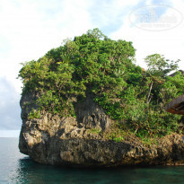 фото из отзыва ID 894985