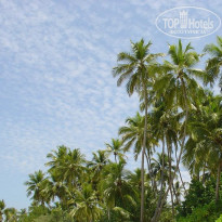 фото из отзыва ID 89932