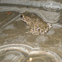 фото из отзыва ID 901106