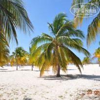 фото из отзыва ID 901596