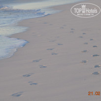 фото из отзыва ID 901596