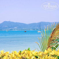 фото из отзыва ID 903190