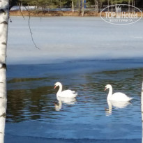 фото из отзыва ID 904110