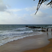 фото из отзыва ID 905461