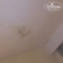 фото из отзыва ID 906999