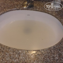 фото из отзыва ID 906999