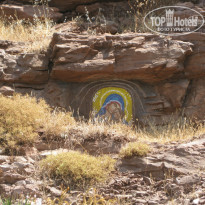 фото из отзыва ID 907155